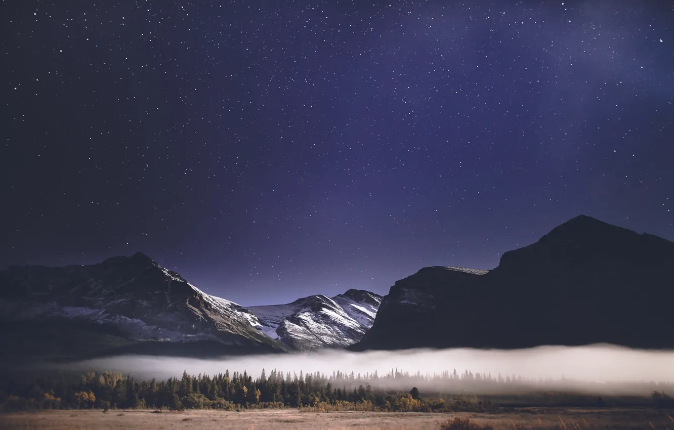 Фото обои лес, небо, звезды, горы, ночь, туман