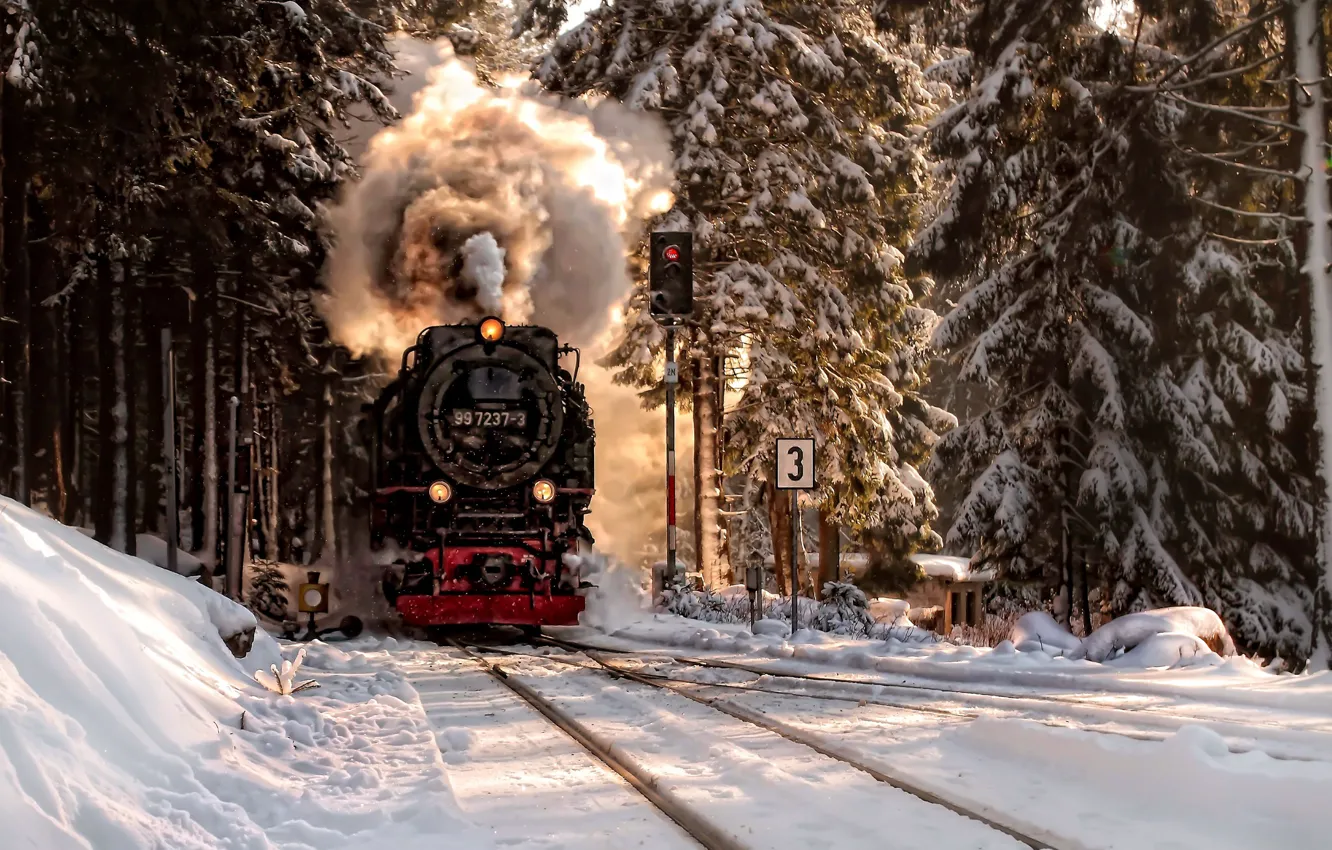 Фото обои зима, лес, снег, паровоз