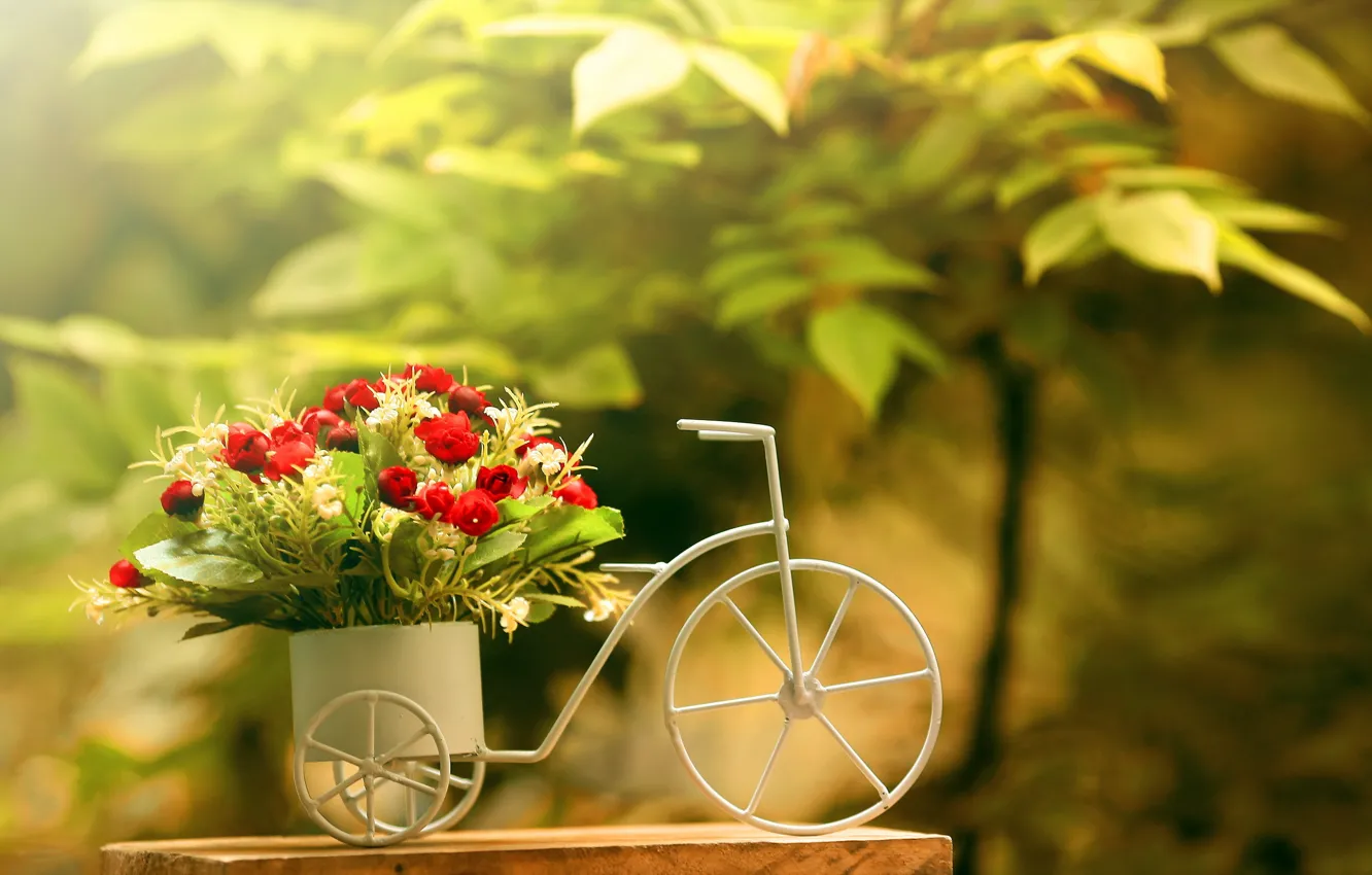Фото обои цветы, велосипед, фон, розы