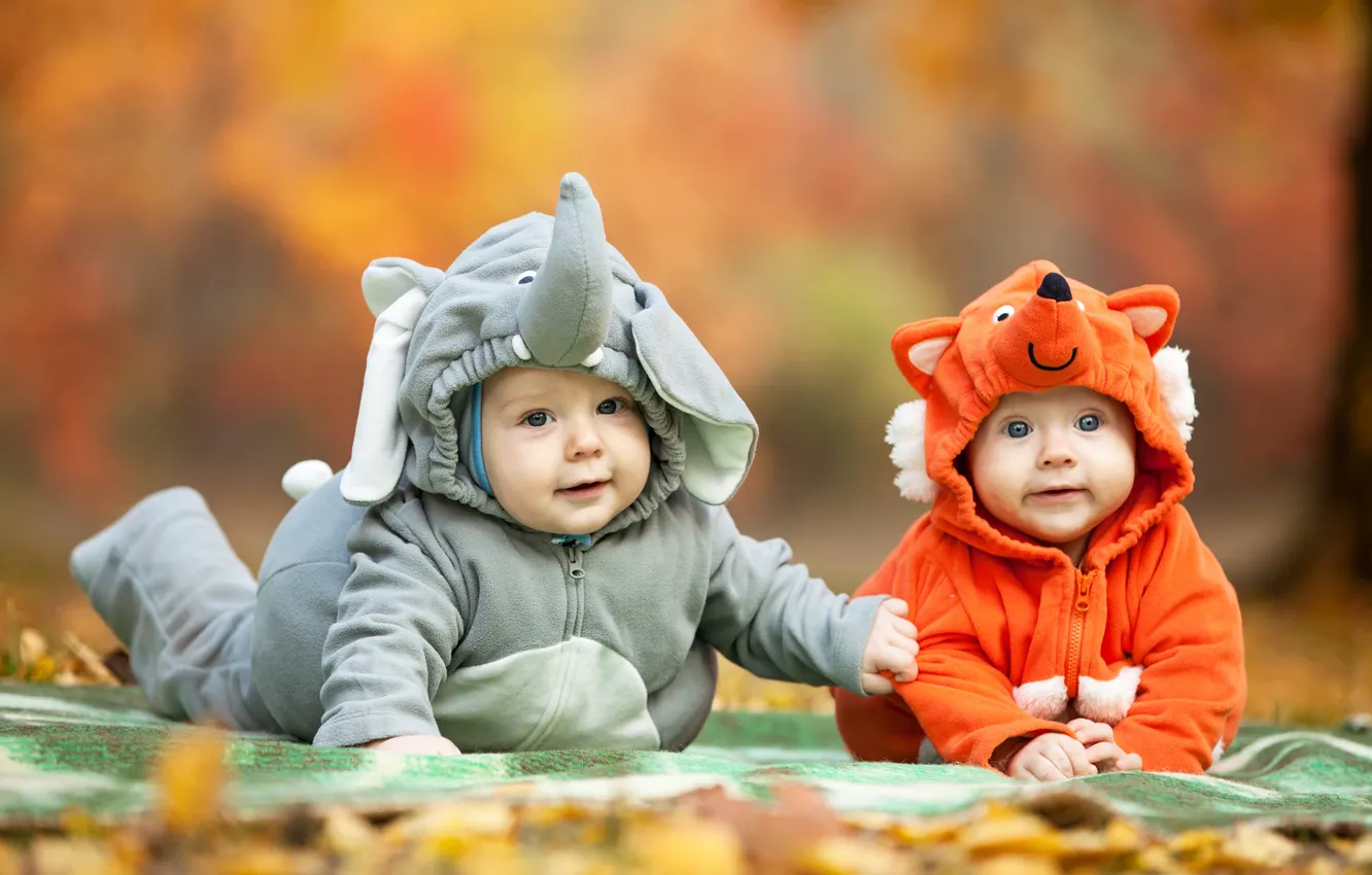 Фото обои осень, взгляд, дети, костюм, малыши, child, Foxes, Elephants