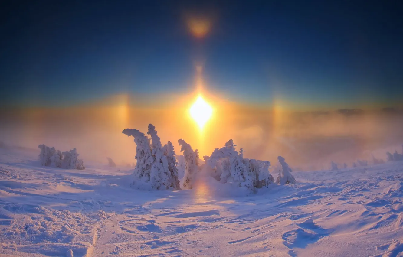 Фото обои мороз, день, чудесный, и солнце