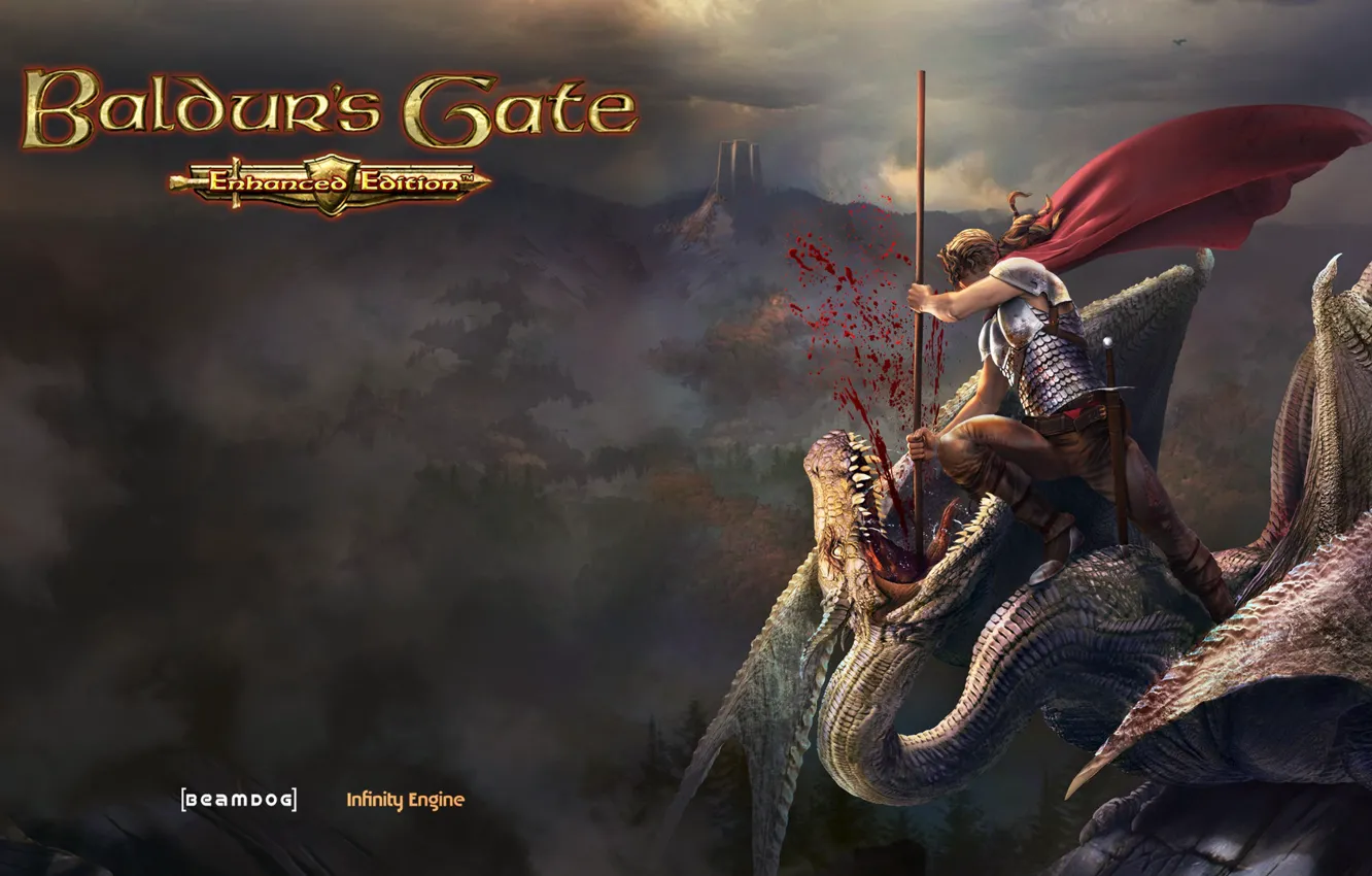 Фото обои дракон, воин, Baldurs Gate, Wyvern Slayer