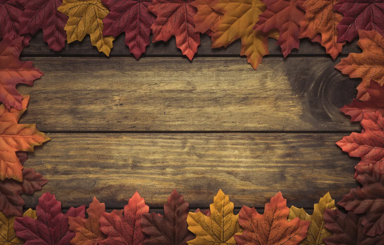 Фото обои осень, листья, фон, дерево, wood, background, autumn, leaves