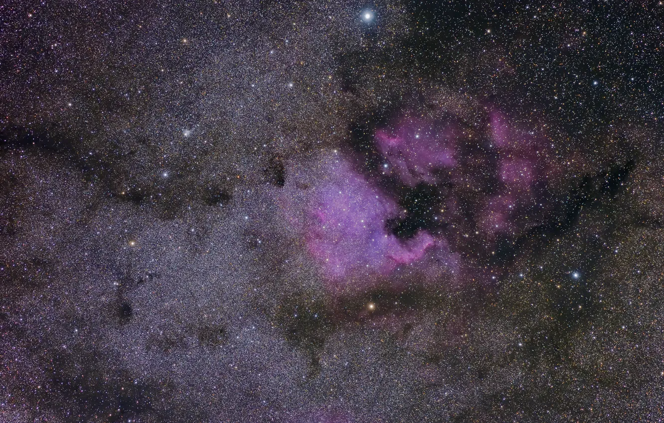 Фото обои nebula, North American, NGC 7000