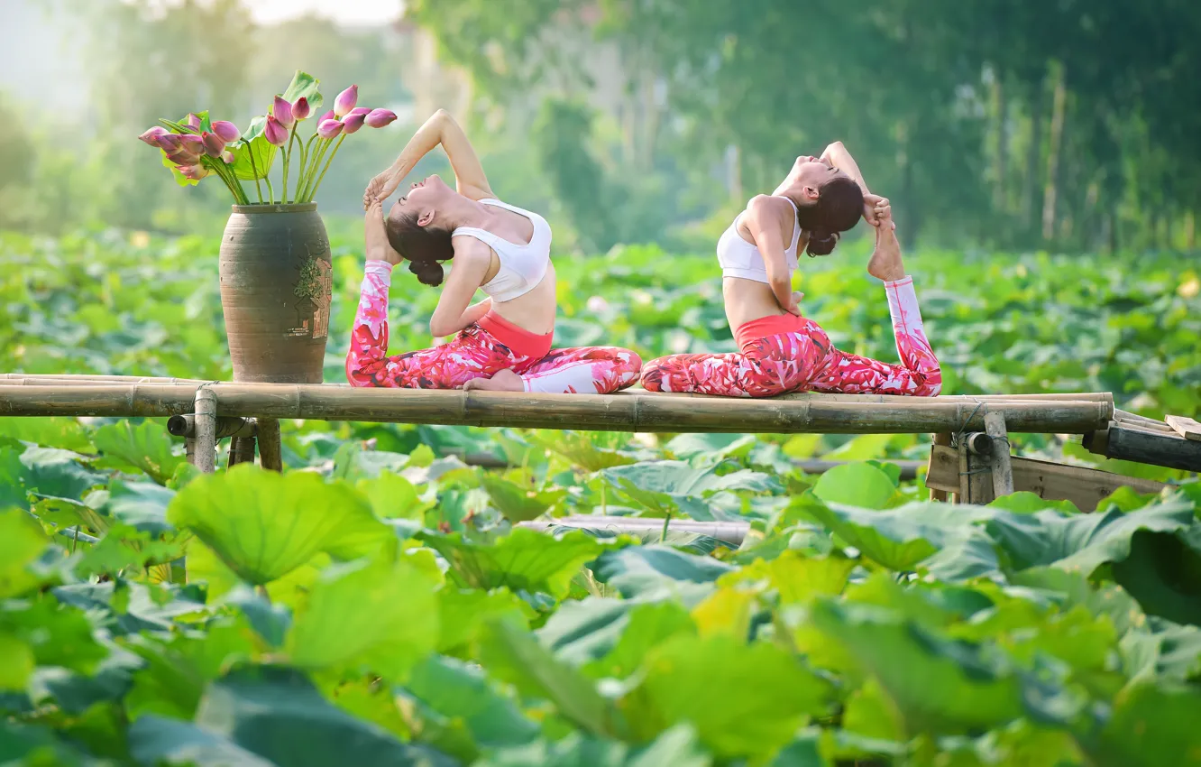 Фото обои лето, листья, природа, девушки, гимнастика, йога, ножки, азиатки