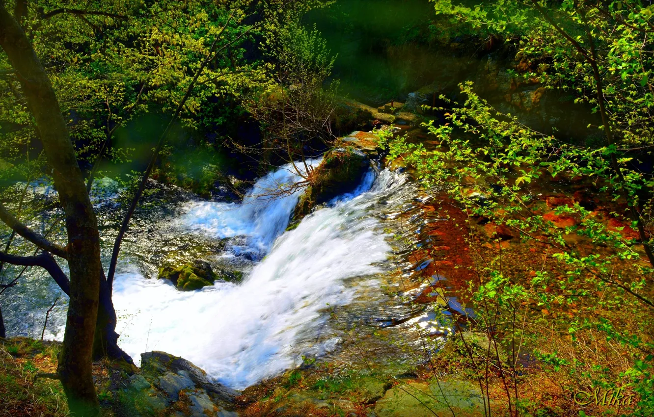 Фото обои Водопад, Река, Лес, Waterfall, River, Forest