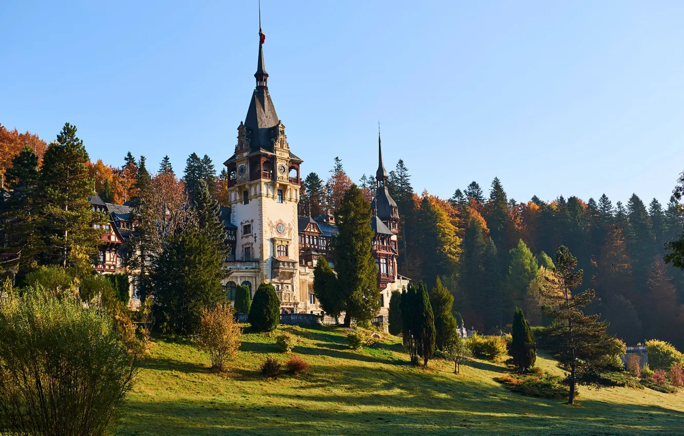 Фото обои лес, солнце, деревья, замки, Румыния, Transylvania, Peles Castle
