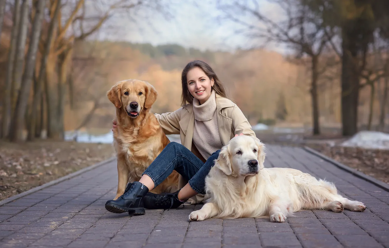 Фото обои животные, собаки, девушка, парк, шатенка, ретривер, Виктория Дубровская