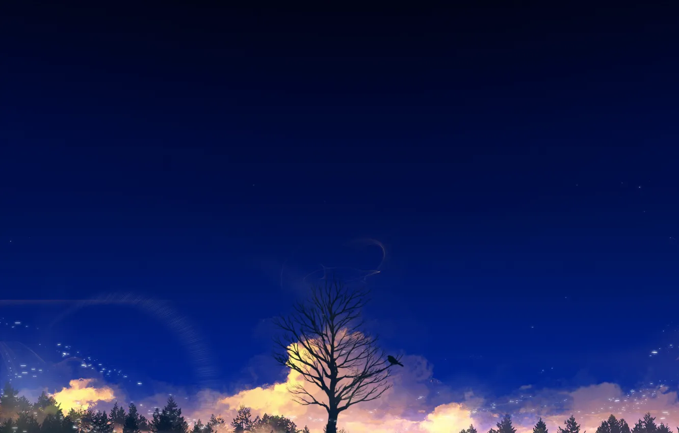 Фото обои небо, природа, дерево, птица, Y_Y