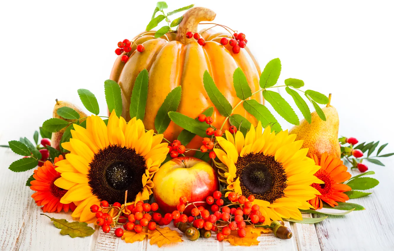 Фото обои осень, листья, подсолнухи, ягоды, яблоки, урожай, тыква, фрукты