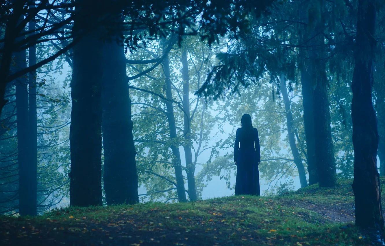 Фото обои лес, девушка, туман, в чёрном, силут
