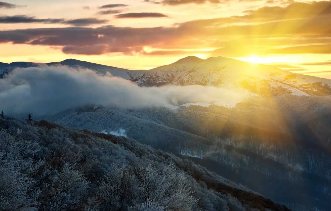 Фото обои зима, лес, солнце, облака, лучи, снег, деревья, горы