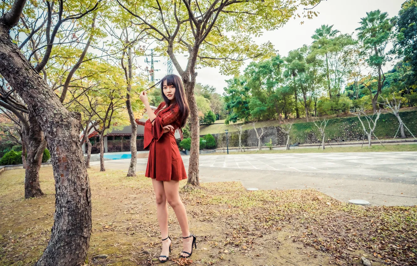 Фото обои девушка, деревья, платье, ножки, азиатка