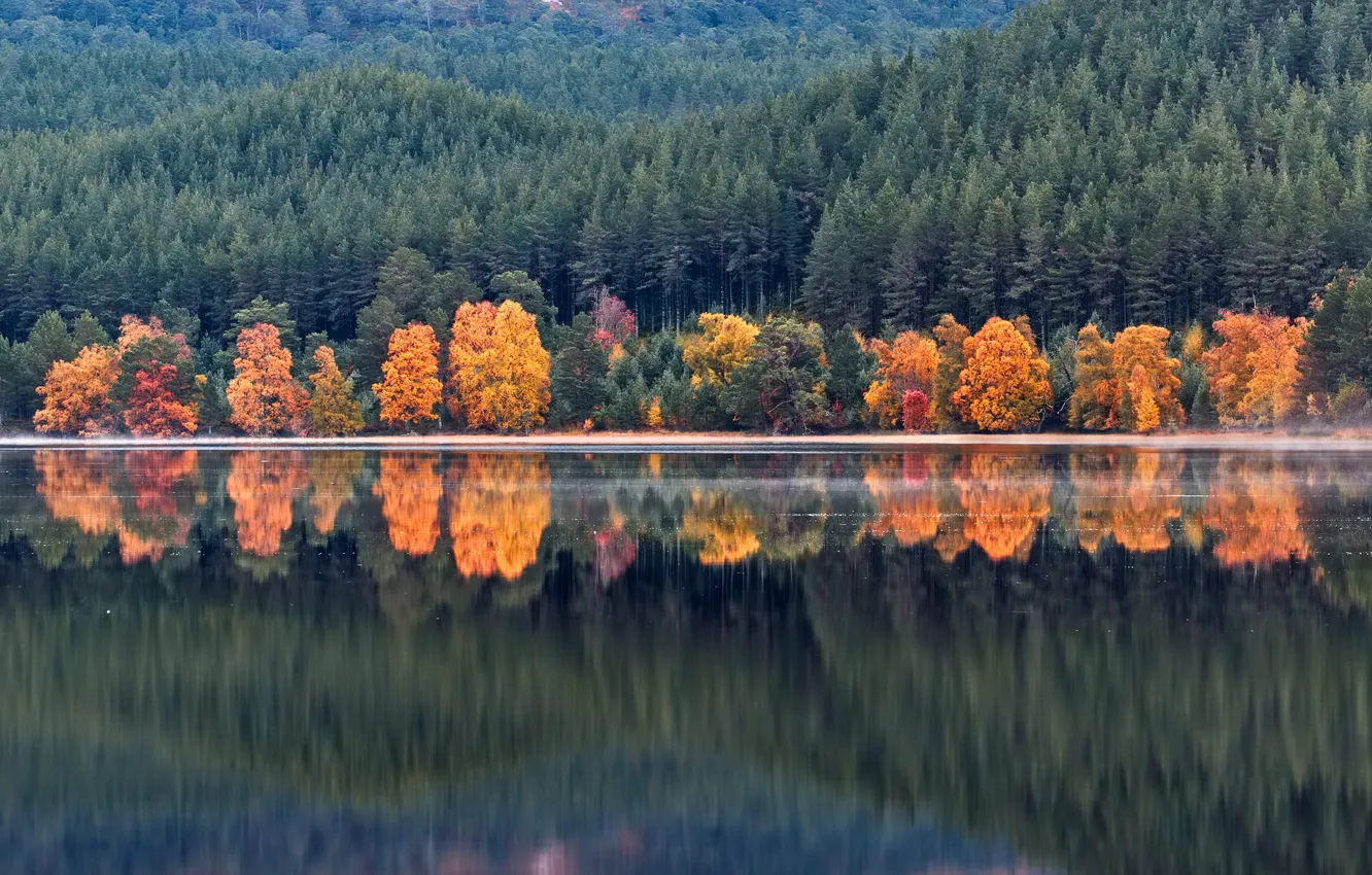 Фото обои осень, лес, вода, деревья, горы, озеро, отражение, берег