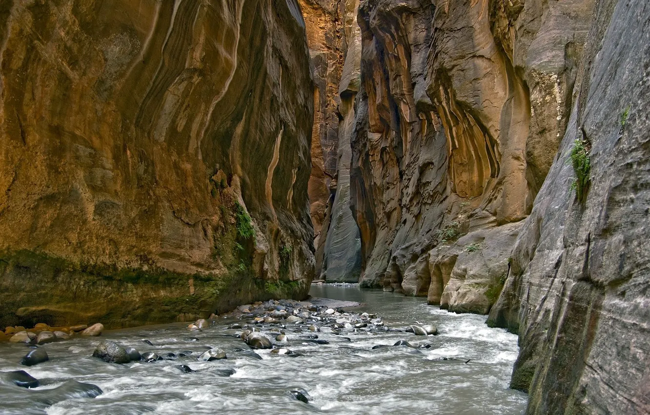Фото обои река, камни, каньон