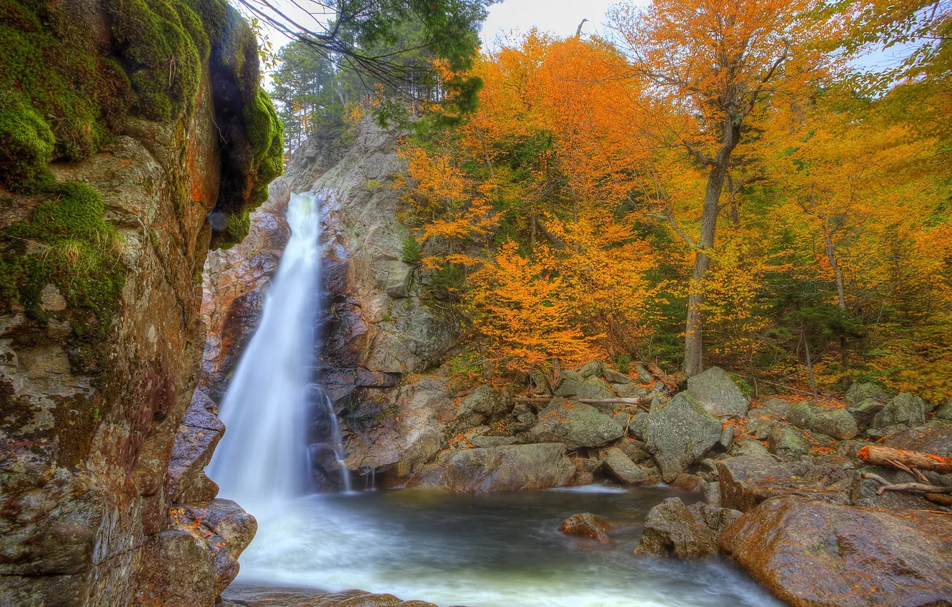 Фото обои осень, природа, фото, водопад, США, Glen Ellis, New Hampshire