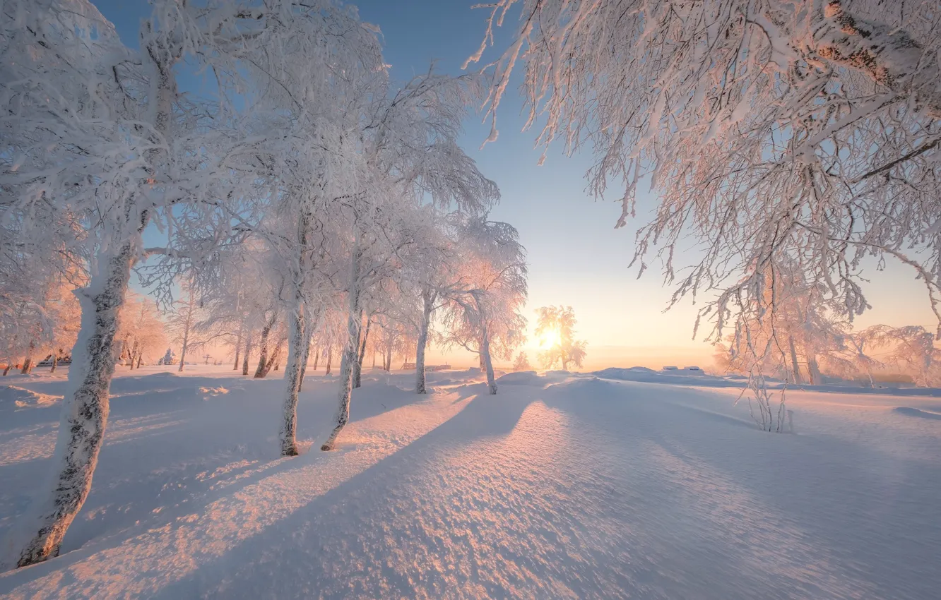 Фото обои зима, снег, деревья, рассвет, утро, Россия, Пермский край, Белая гора