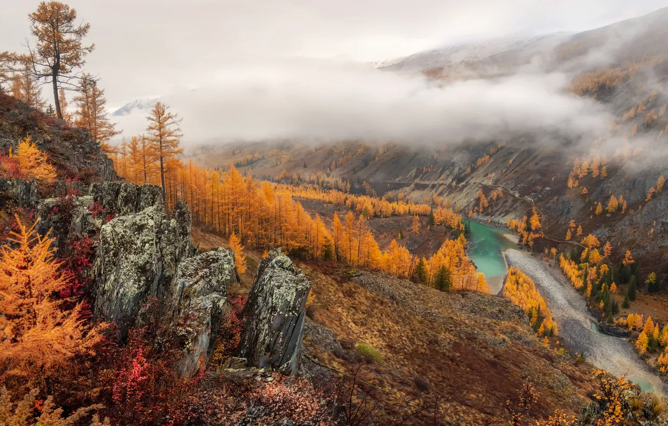 Фото обои colors, river, trees, autumn, cliff
