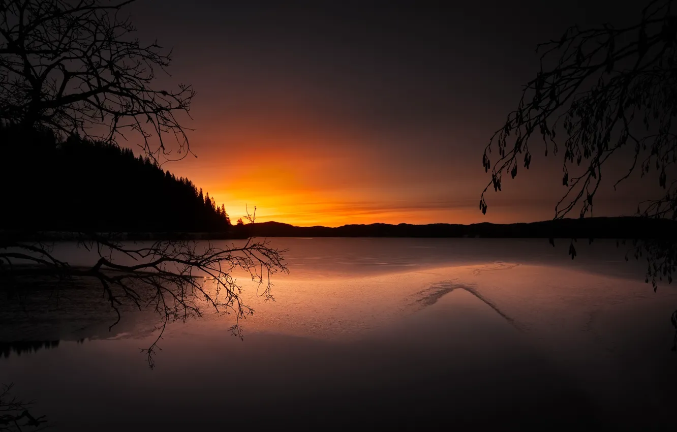 Фото обои зима, ночь, озеро