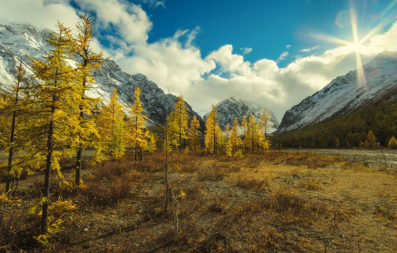 Фото обои зелень, солнце, лучи, деревья, горы, камни, склон, Алтай