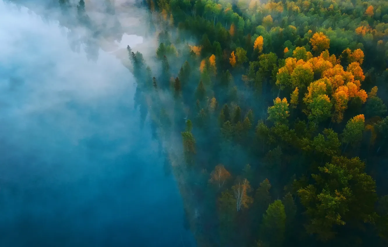 Фото обои осень, лес, вода, природа, туман, краски, дымка