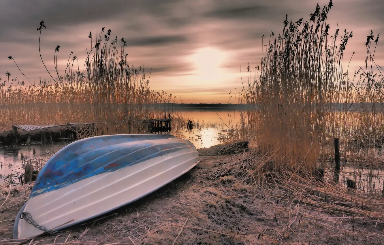 Фото обои закат, озеро, лодка, камыш