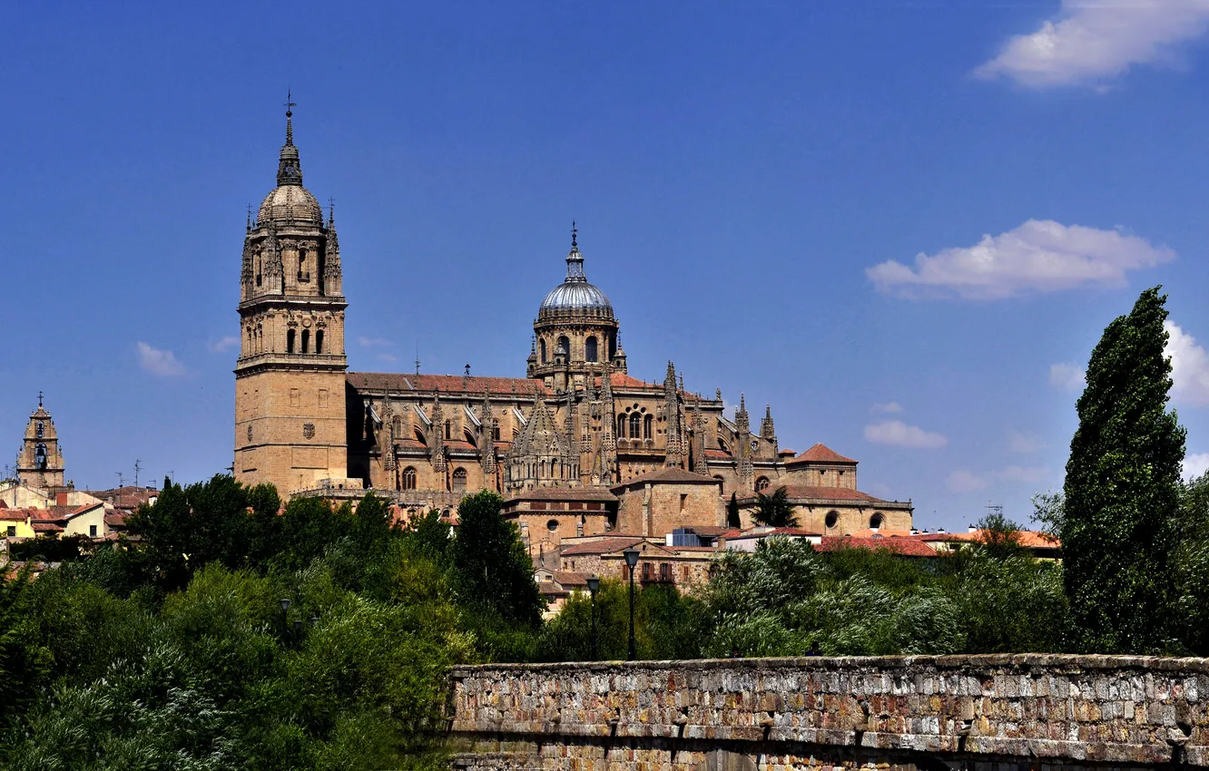 Фото обои небо, деревья, город, собор, Испания, Саламанка