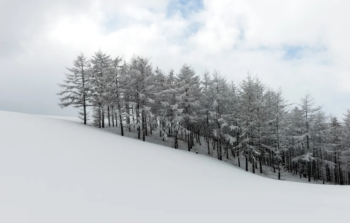 Фото обои Winter, Harmony, Korean Landscape