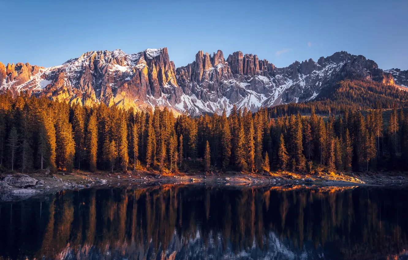 Фото обои лес, Италия, Italy, Forest, Южный Тироль, South Tyrol, Озеро Карецца, Carezza Lake