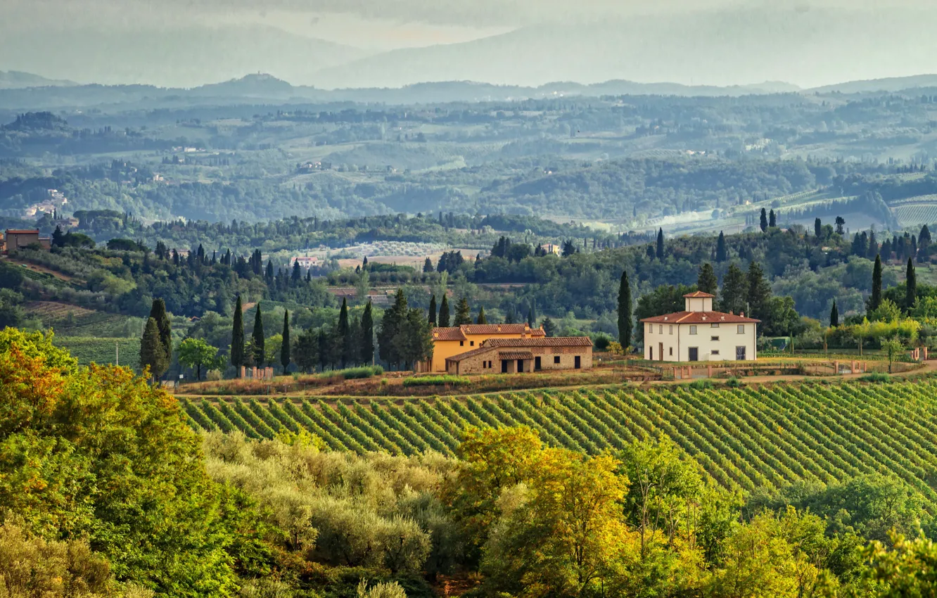 Фото обои поле, деревья, дома, Италия, панорама, плантация, Тоскана, Tuscany