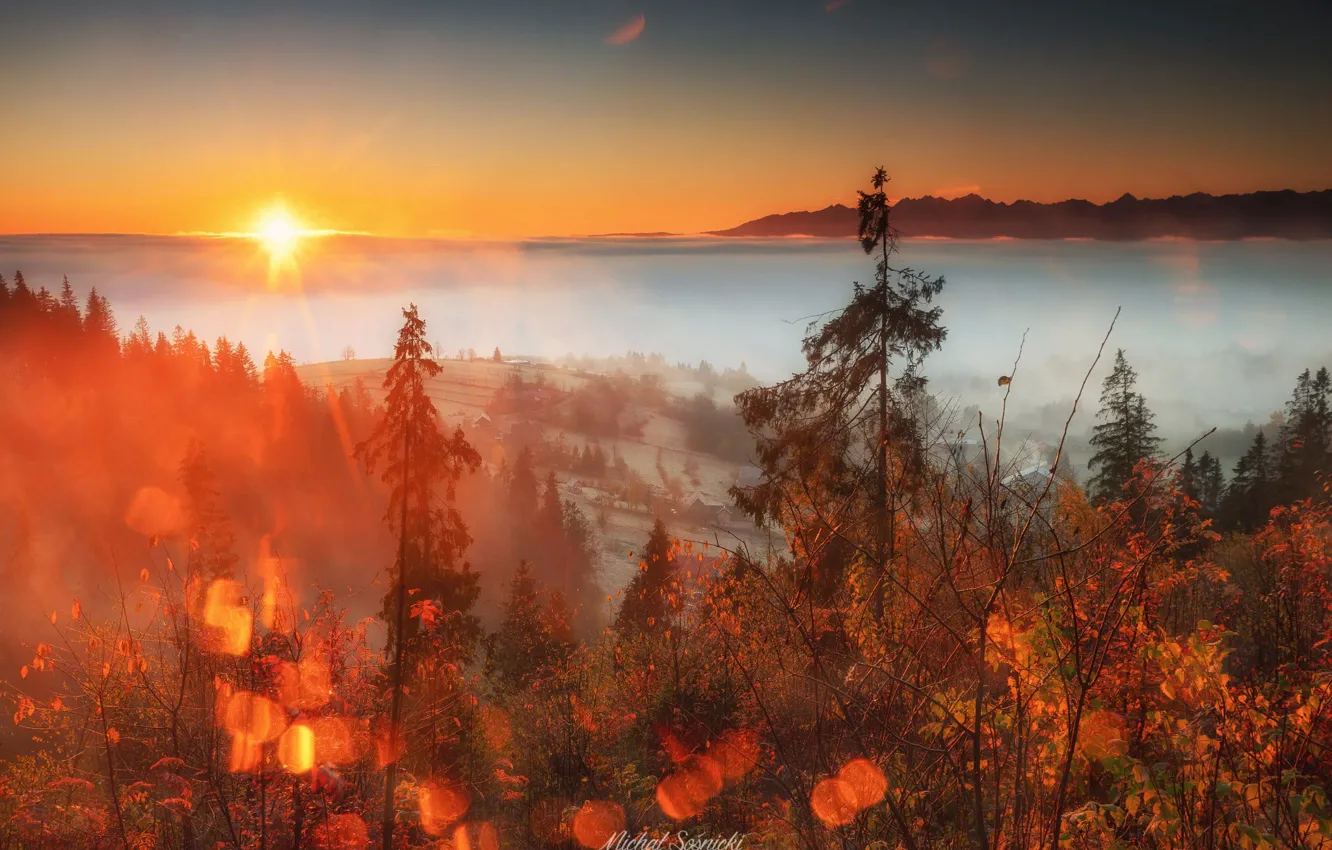 Фото обои осень, солнце, пейзаж, природа, туман, рассвет, утро, долина
