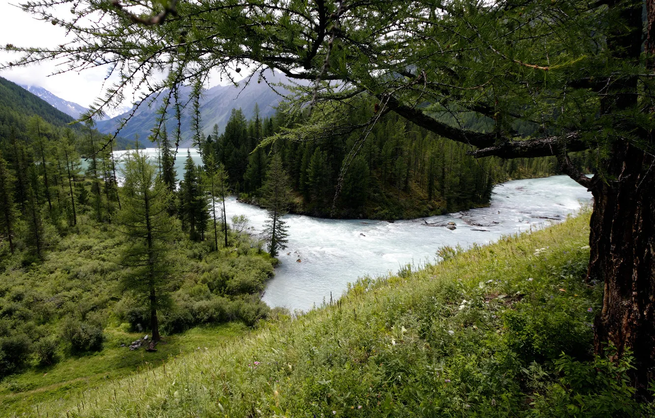Фото обои лес, вода, горы, озеро
