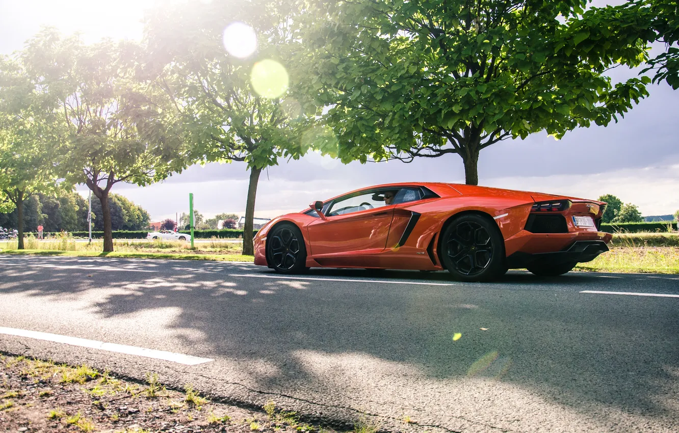 Фото обои дорога, деревья, оранжевый, блики, lamborghini, orange, aventador, lp700-4