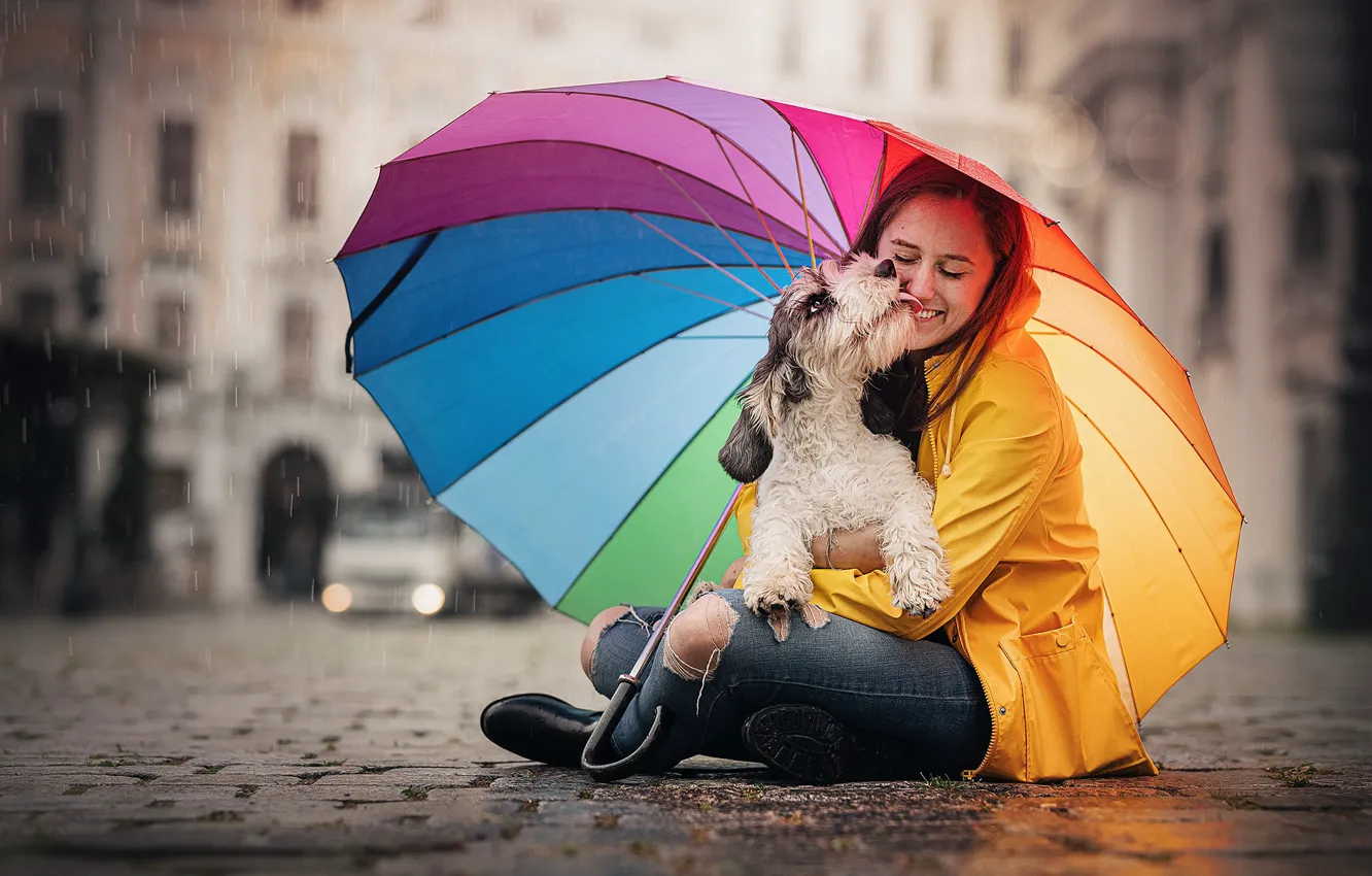 Фото обои девушка, собака, зонт