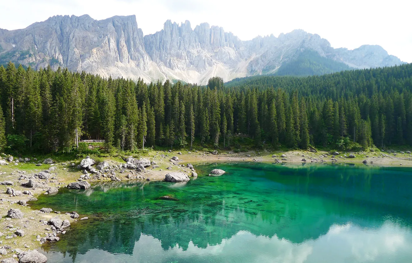 Фото обои лес, деревья, горы, озеро, камни, скалы, берег, Италия