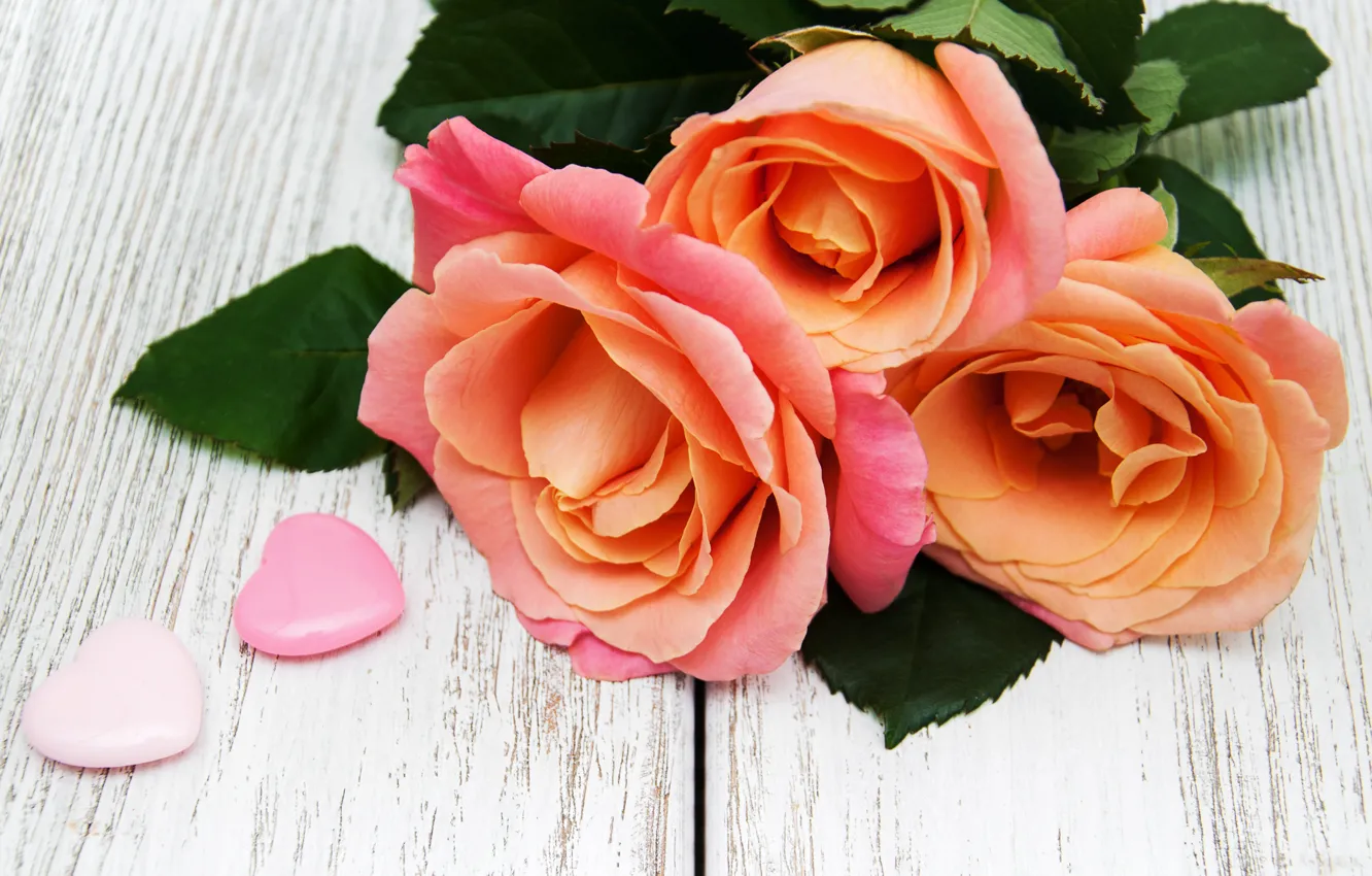 Фото обои цветы, букет, Розы, розовые, бутоны, Olena Rudo