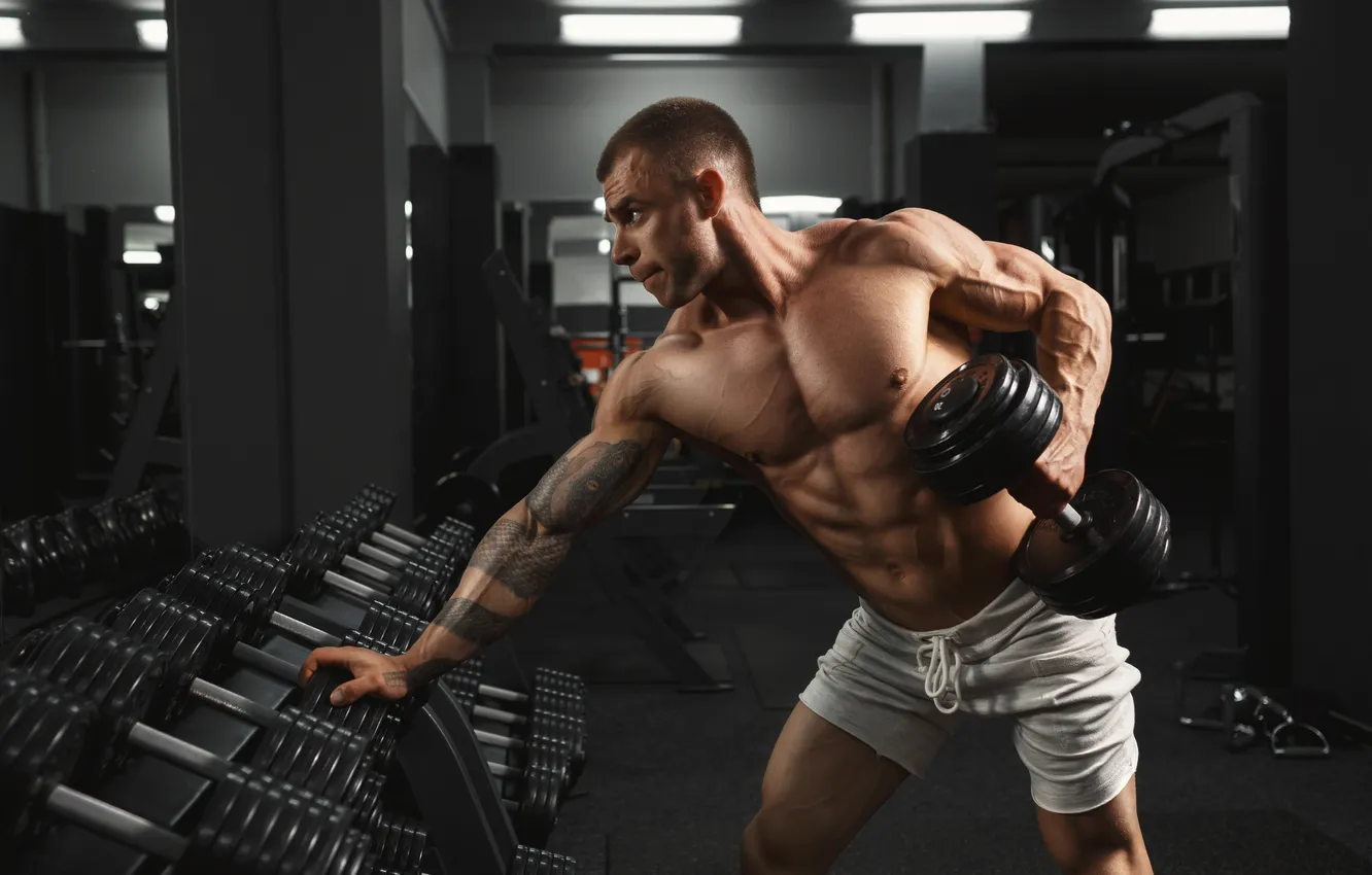 Фото обои men, sports, gym, bodybuilding, dumbbells