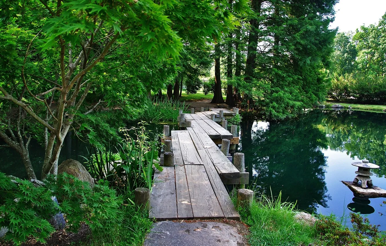 Фото обои парк, красивые зелёные деревья старый деревянный мостик
