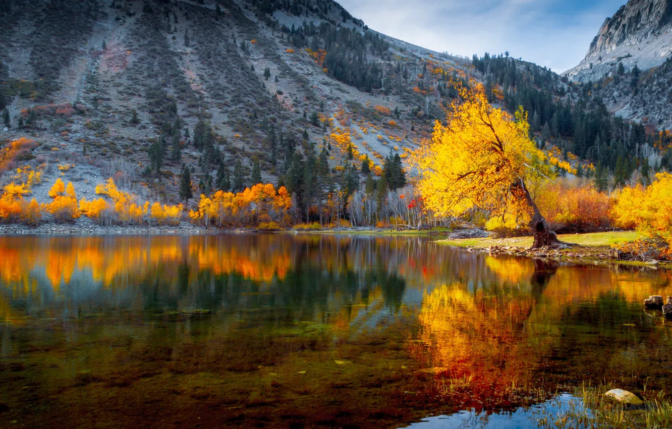 Фото обои осень, отражения, деревья, пейзаж, горы, природа, Калифорния, США