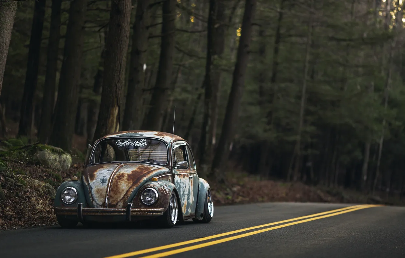 Фото обои Volkswagen, Old, Beetle, Road, Forest, Rusty