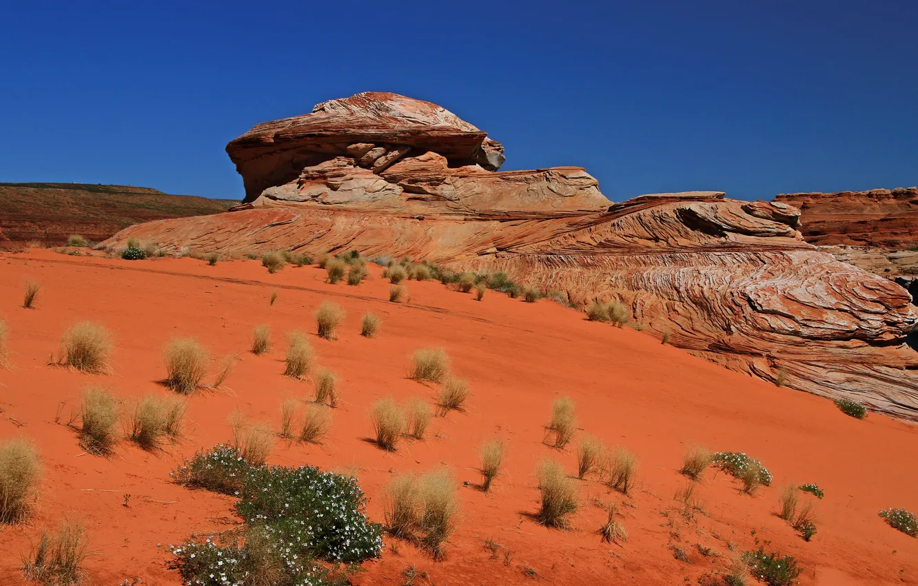 Фото обои Аризона, США, red rock, Northern Arizona