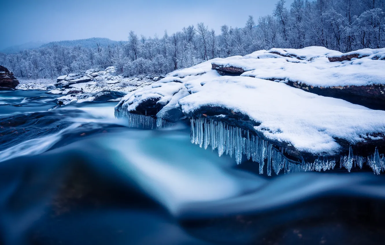 Фото обои зима, лес, снег, деревья, река, сосульки, Швеция, Sweden