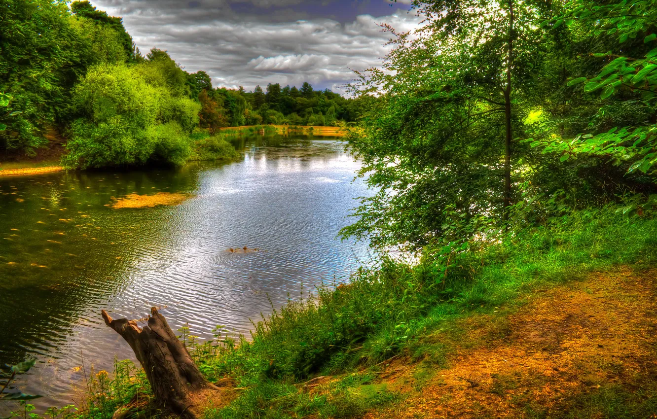 Фото обои зелень, деревья, озеро, парк, Англия, Nostell