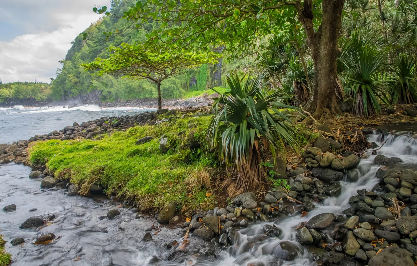 Фото обои деревья, горы, река, ручей, камни, поток