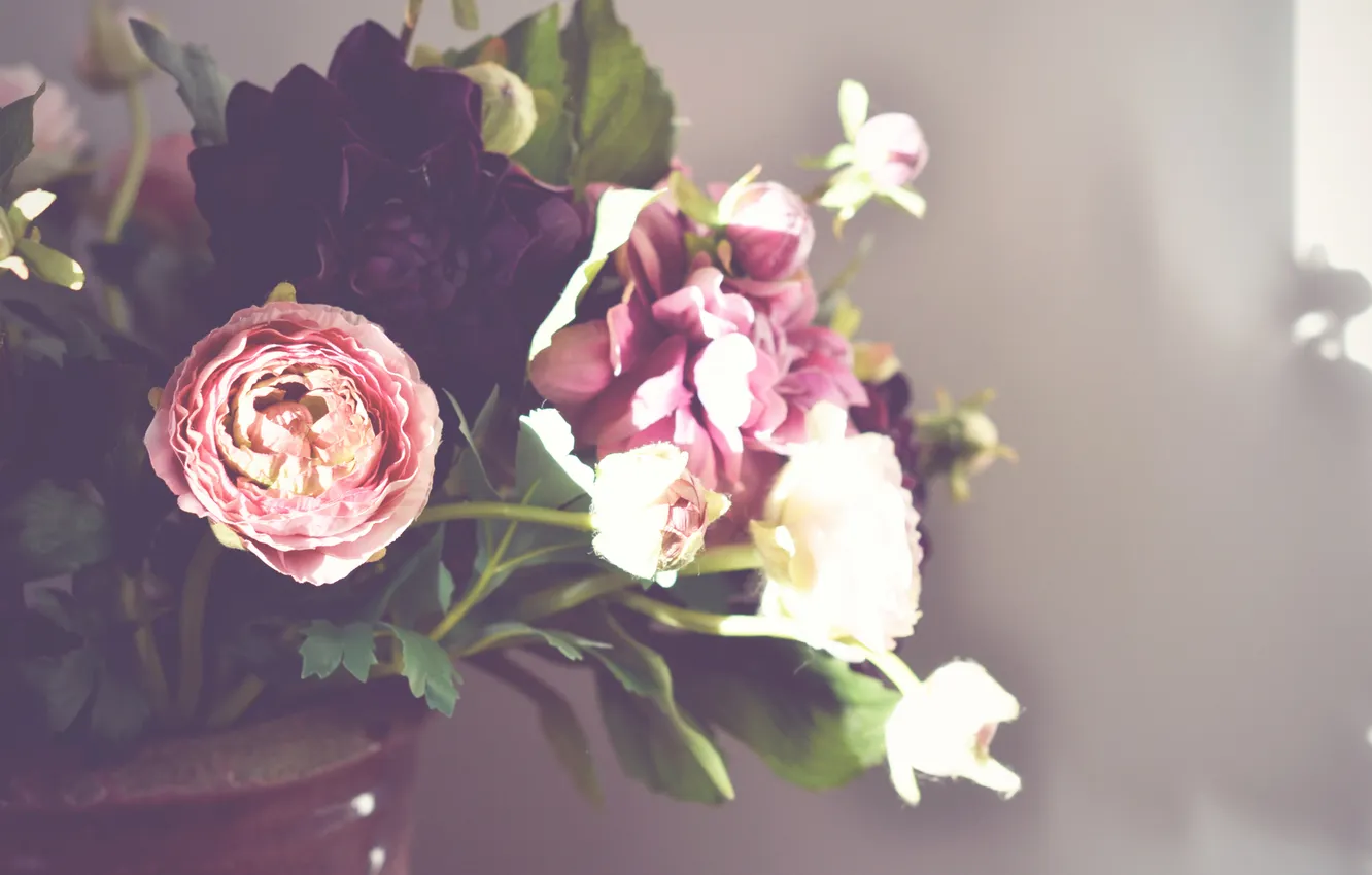 Фото обои цветы, букет, лепестки