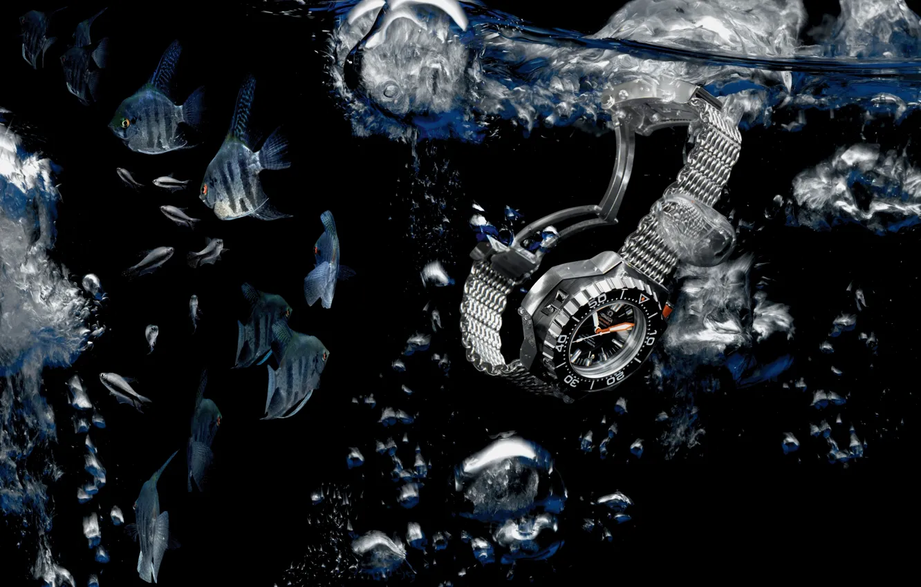 Фото обои вода, рыбы, Часы, Omega, Seamaster, 1200M, Ploprof, Скалярии