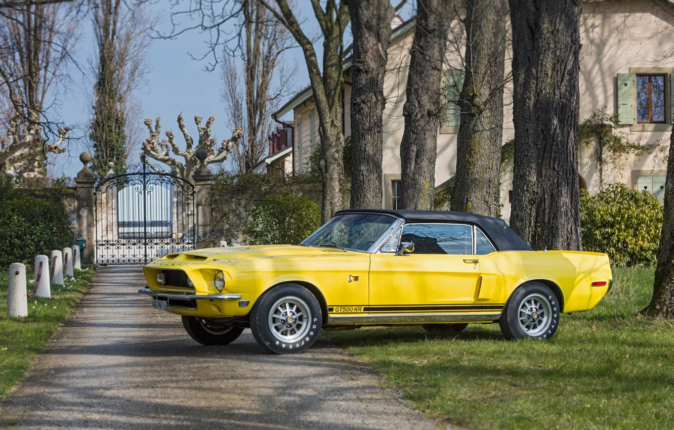 Фото обои Mustang, Ford, Ford Mustang, Front, Yellow, Side, Convertible, GT500 KR