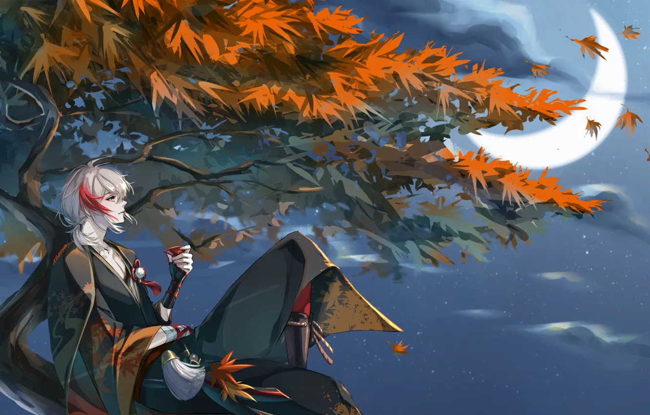 Фото обои осень, ночь, дерево, парень, Genshin Impact, Kaedehara Kazuha