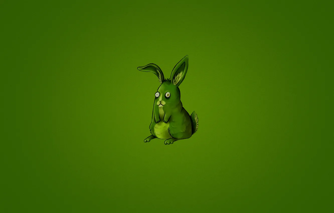 Фото обои животное, green, заяц, минимализм, кролик, зеленый фон, rabbit