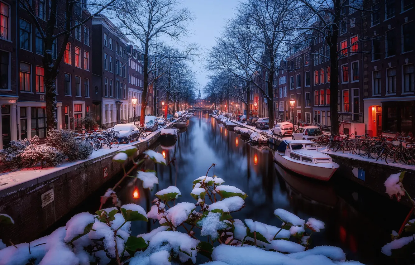 Фото обои зима, свет, снег, огни, утро, Амстердам, канал